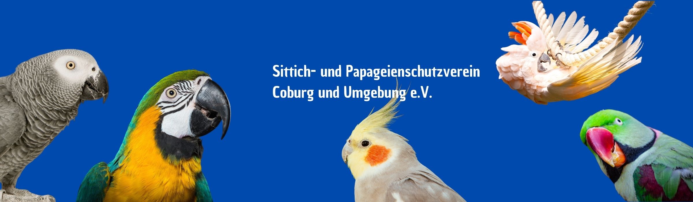 (c) Papagei-coburg.de