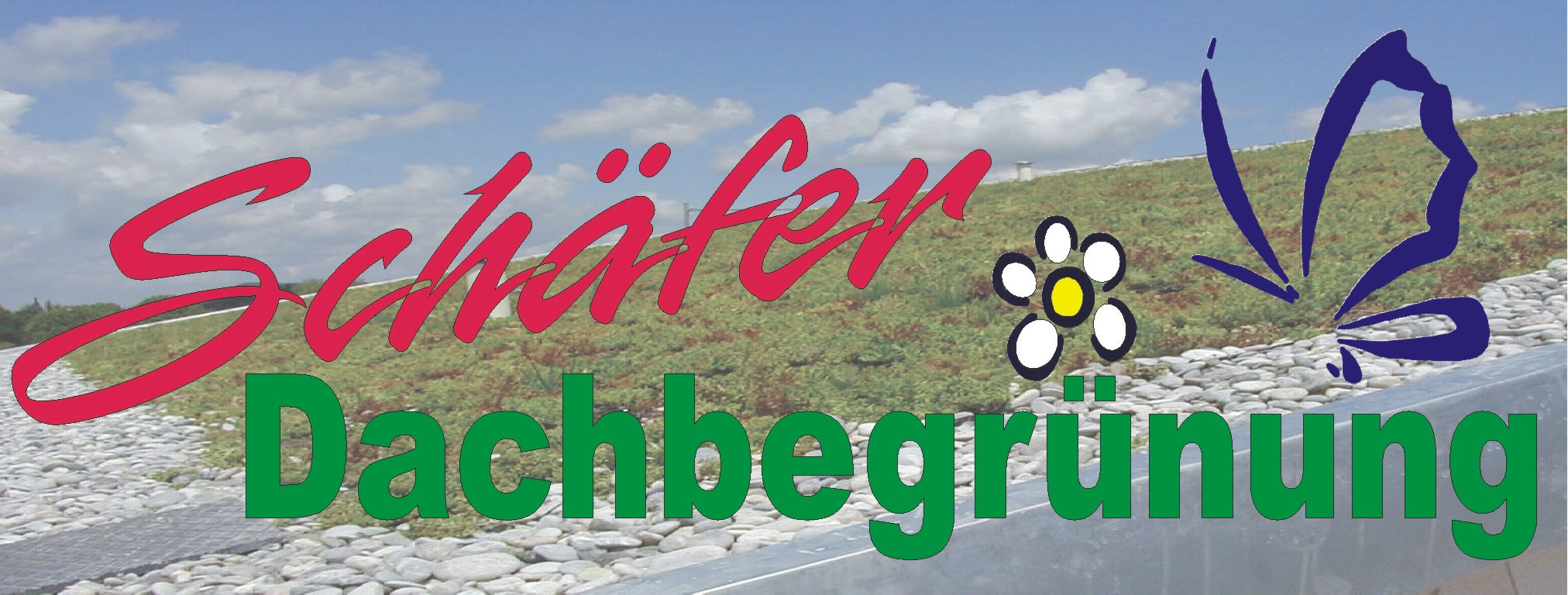(c) Schaefer-info.de