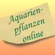 (c) Aquarienpflanzen-online.de