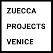 (c) Zueccaprojects.org