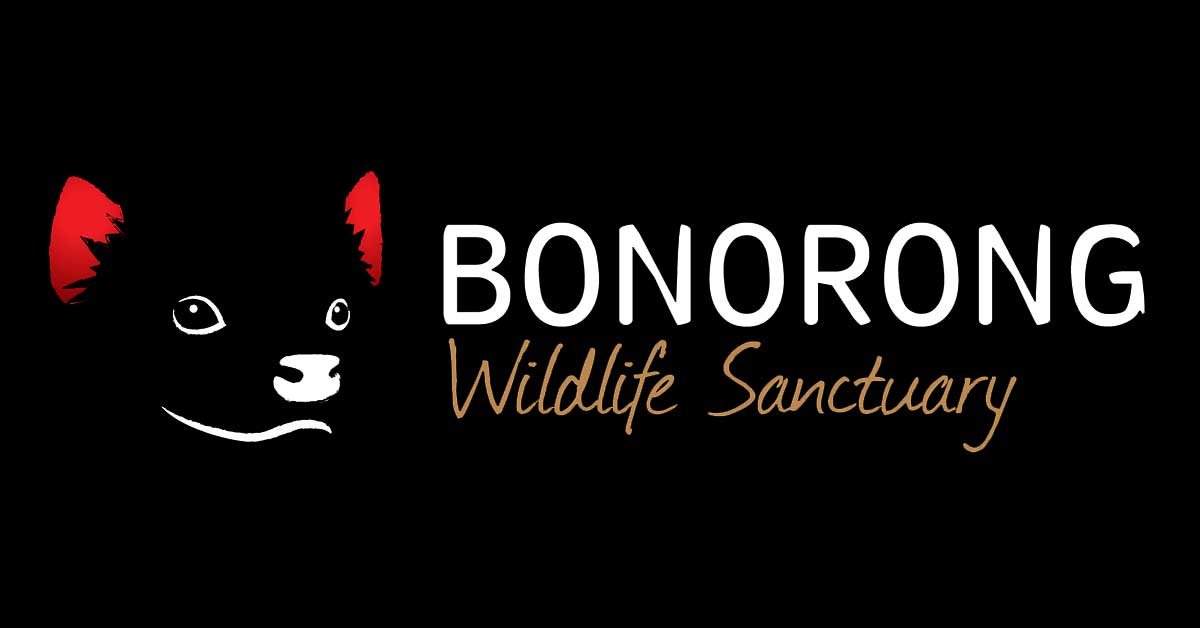 (c) Bonorong.com.au