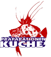 (c) Kuche.net