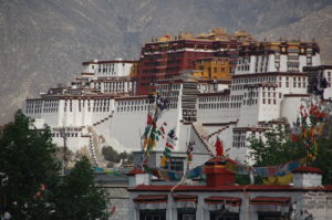 (c) Lhasa-apso-odenwald.de