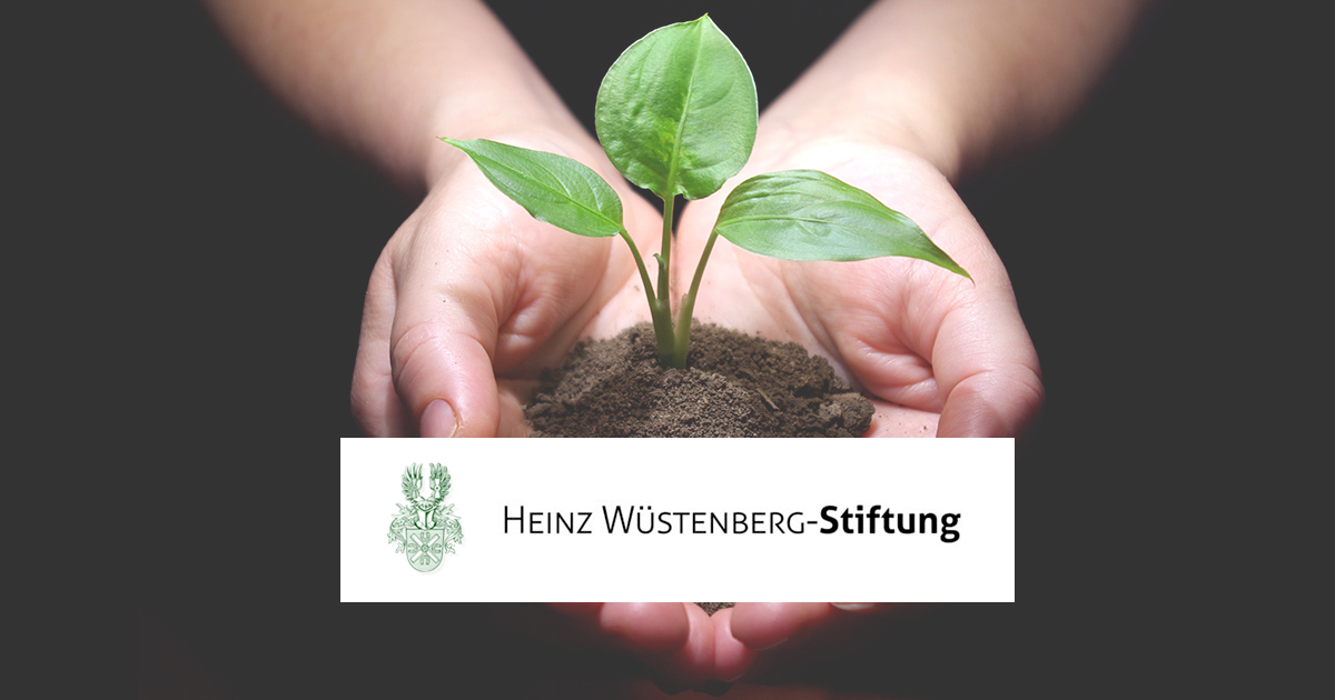 (c) Heinz-wuestenberg-stiftung.de