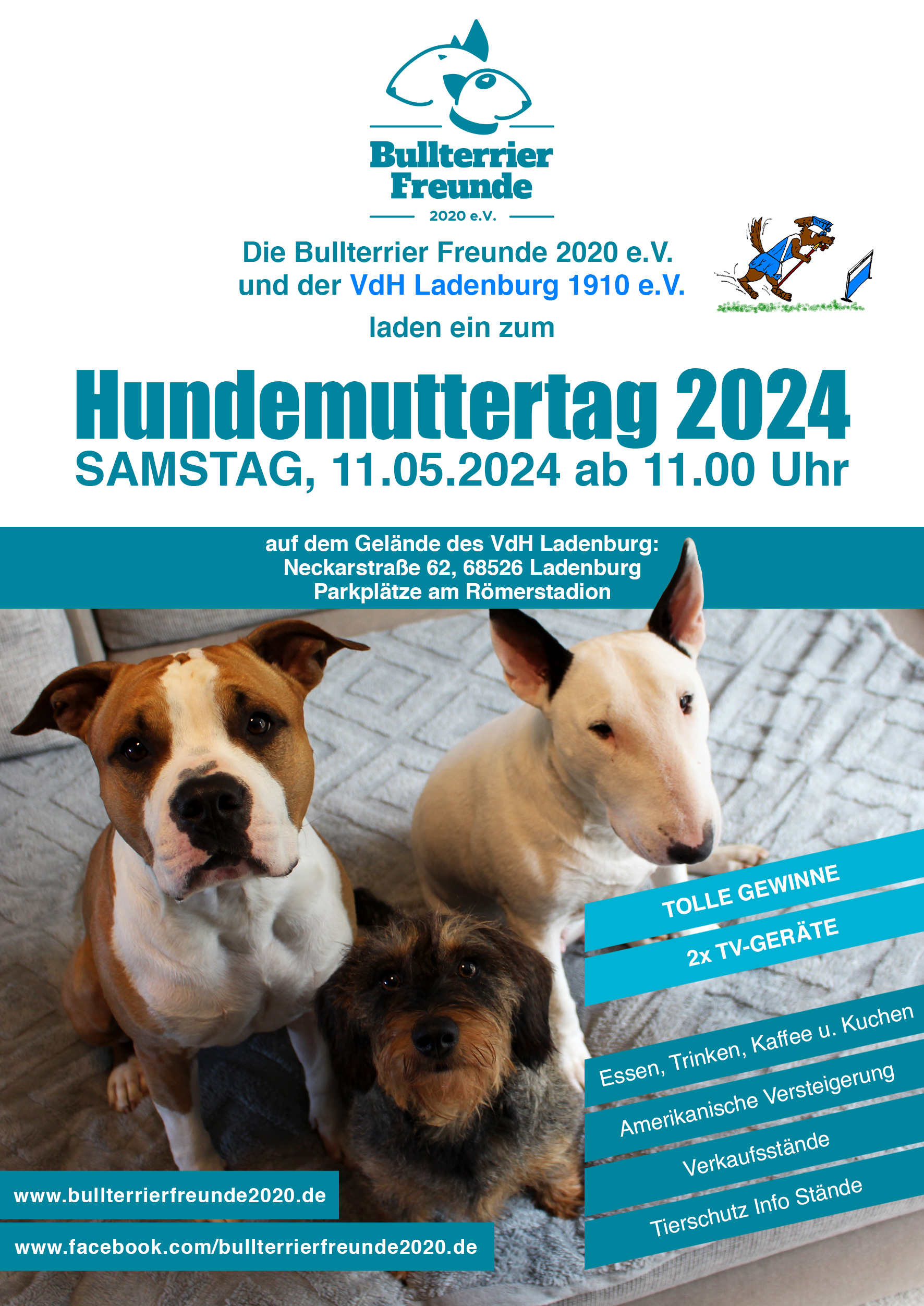 (c) Bullterrierfreunde2020.de