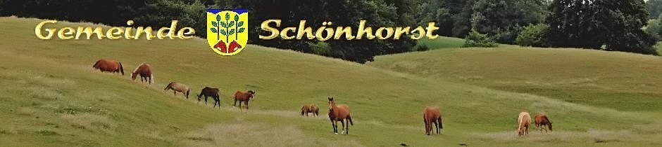 (c) Schoenhorst.eu