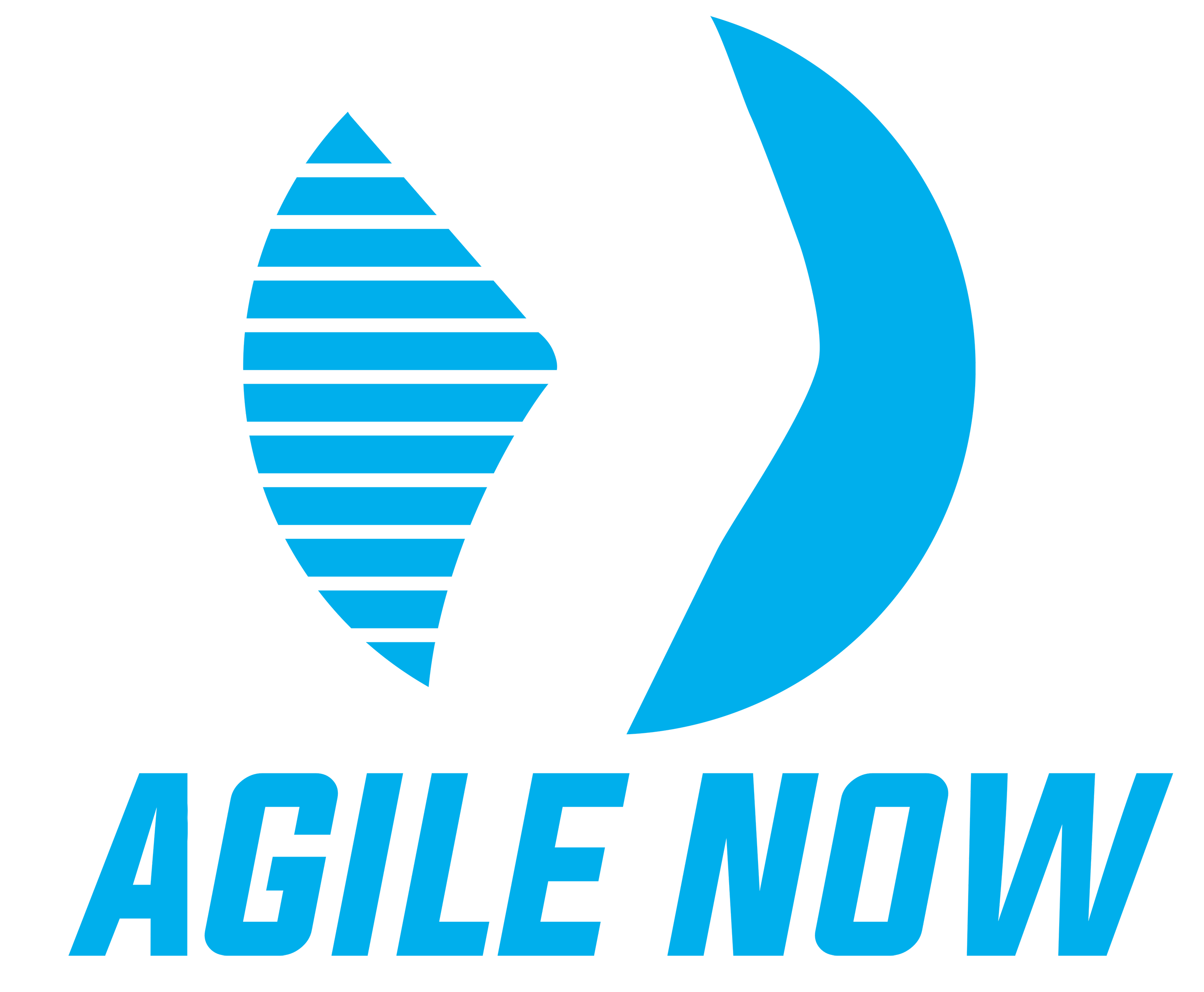 (c) Agile-now.net