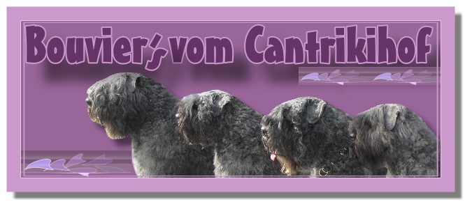 (c) Cantrikihof.de