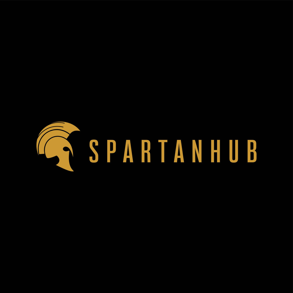 (c) Spartanhub.ch